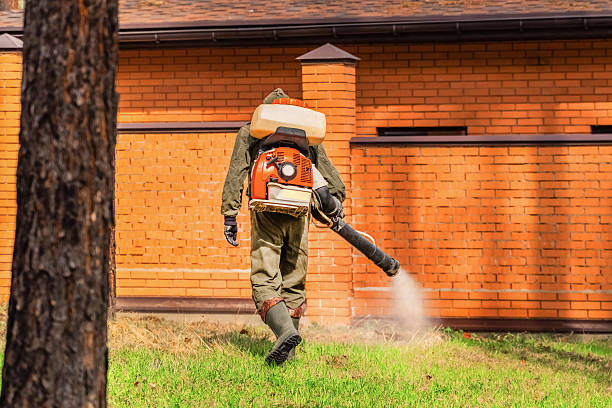 Trusted Termite Control service in Orrville, OH - Nex Pest Control